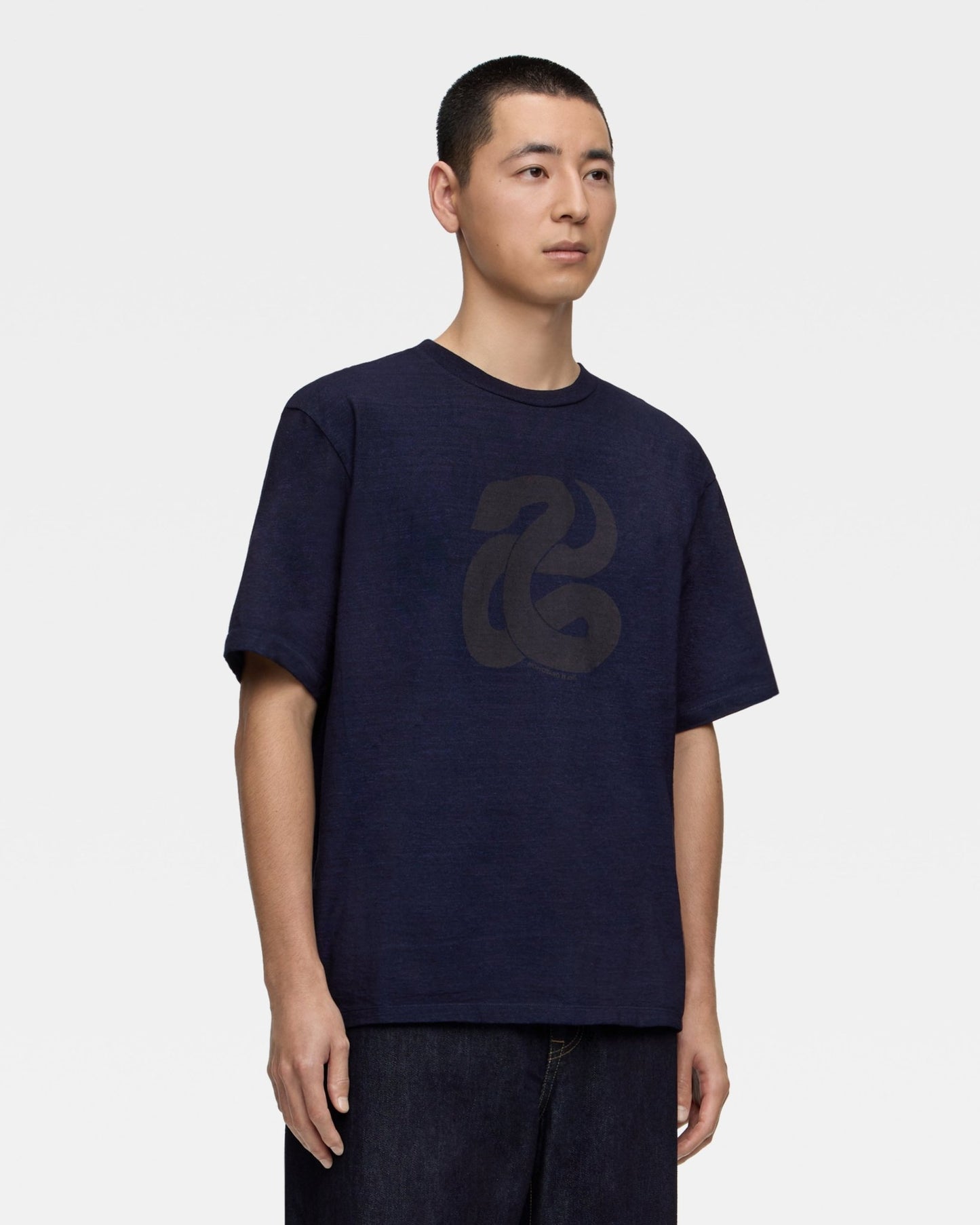 YARN DYED S/S TEE - SNAKE - MOMOTARO JEANS